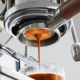 Convertible Bottomless Portafilter with Double Spout
