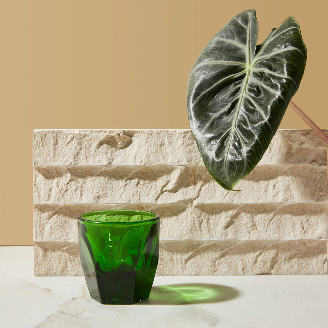 notNeutral Vero Espresso Glass, Emerald